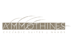 customer-logo-ammothines